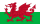 英格兰国旗
